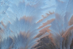 Cristal con ramo de hielo