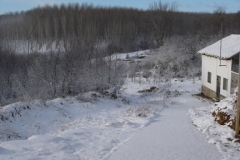 Cuesta nevada (Fotografía de Mª  Jesús García)