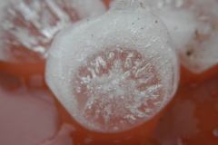 detalle de un granizo de gran tamaño (04-07-2016)