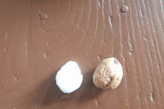 Granizo y nuez