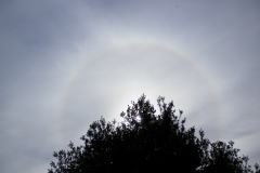 Halo solar