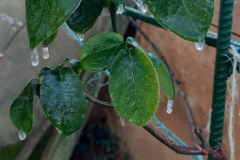 Lluvia engelante (20-12-2023)