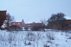 Nevada en Maire