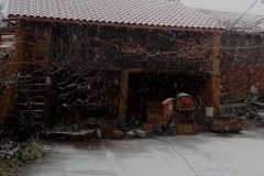 Nevada enero 2018