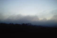 Niebla que llega