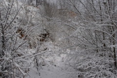 Senda nevada (Fotografía de Mª Jesús García)