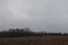 Stratocumulus, llovizna