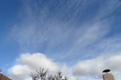 Cirrocumulus stratiformis  + Cumulus humilis en Maire de Castroponce