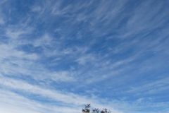 Cirrrus fibratus +  Cirrus spissatus en Maire de Castroponce (26-10-2020)