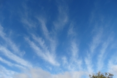 Cirrus fibratus radiatus en Maire de Castroponce