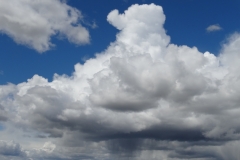 Cumulonimbus calvus