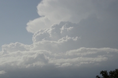 Cumulonimbus capillatus