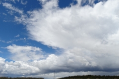 Cumulonimbus capillatus incus