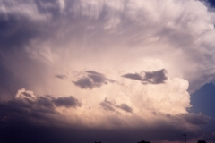 Cumulonimbus capillatus incus