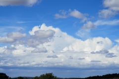 Cumulonimbus capillatus