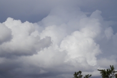 Cumulus congestus