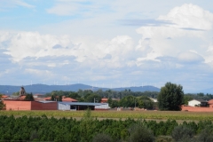 Cumulus calvus