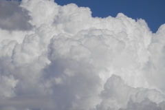 Cumulus congestus