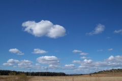 Cumulus humilis