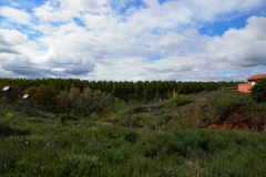 Cumulus humilis + Stratocumulus stratiformis