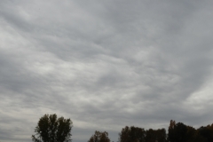 Stratocumulus stratiformes