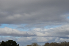 Stratocumulus stratiformis