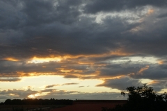 Stratocumulus stratiformis