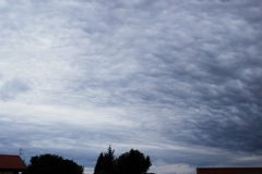 Stratocumulus stratiformis lacunosus