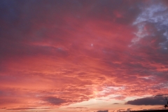 Stratocumulus stratiformis