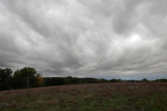 Stratocumulus stratiformos opacus