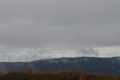 Stratus fractus + stratus nebulosus