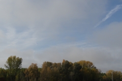 Stratus nebulosus