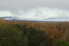Stratus nebulosus + stratus fractus