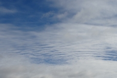 Altocumulus stratiformis perlucidus undulatus + Cumulus humilis ( 02-11-2020)