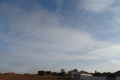 Altocumulus stratiformis translucidus